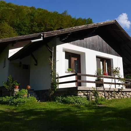 Вила Даяна Ribaritsa Buitenkant foto