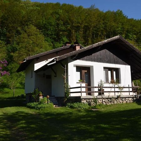 Вила Даяна Ribaritsa Buitenkant foto