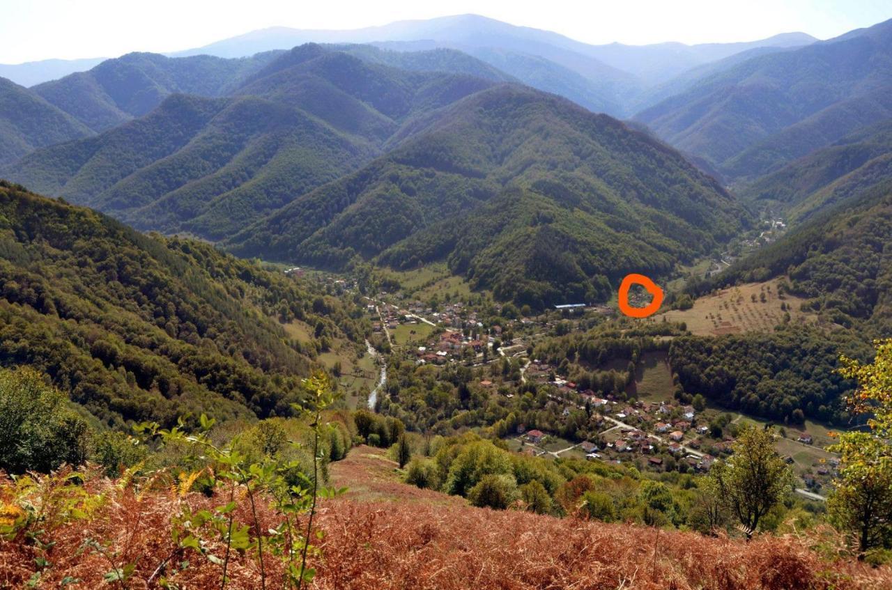 Вила Даяна Ribaritsa Buitenkant foto