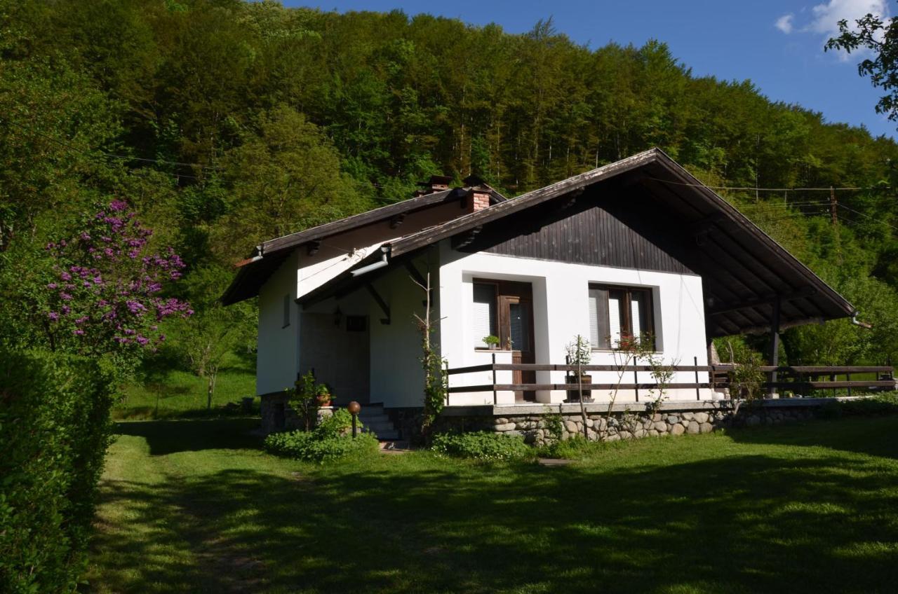 Вила Даяна Ribaritsa Buitenkant foto