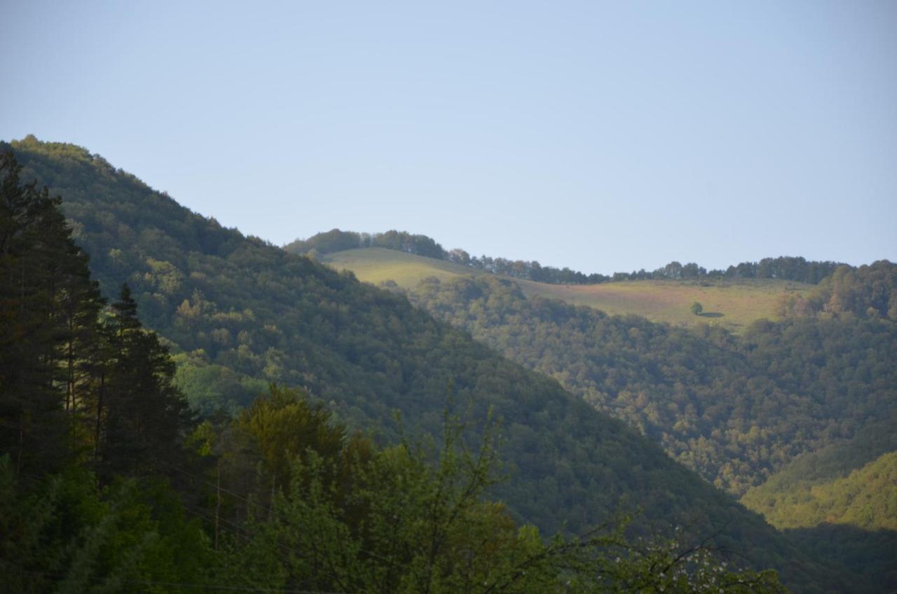 Вила Даяна Ribaritsa Buitenkant foto