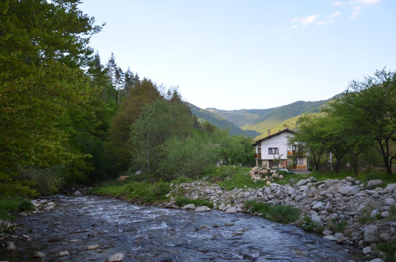 Вила Даяна Ribaritsa Buitenkant foto