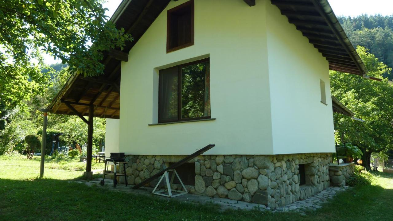 Вила Даяна Ribaritsa Buitenkant foto