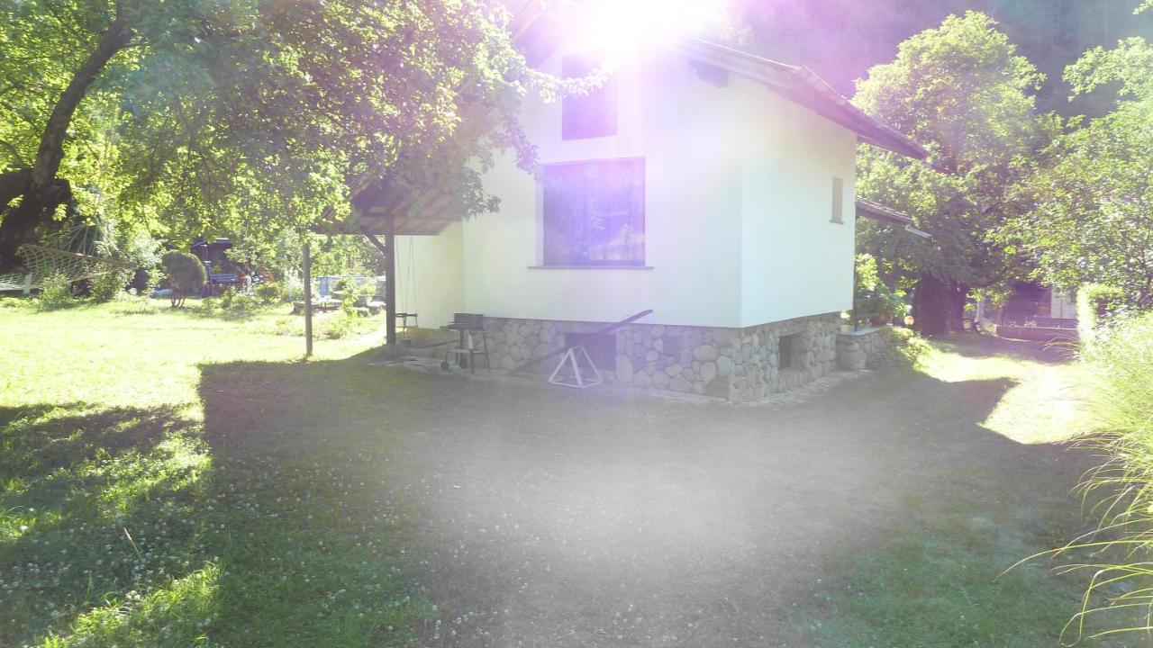 Вила Даяна Ribaritsa Buitenkant foto