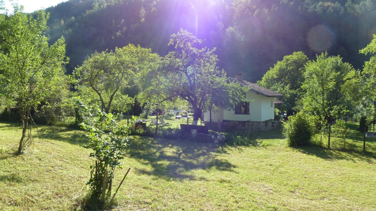 Вила Даяна Ribaritsa Buitenkant foto