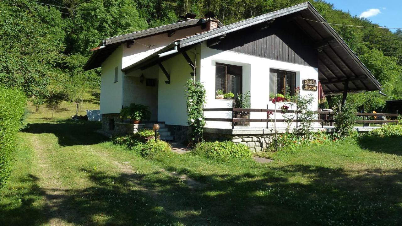 Вила Даяна Ribaritsa Buitenkant foto